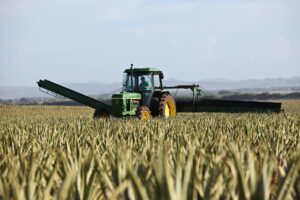 Were you Exposed to Paraquat?