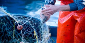 Diaz Law Firm: Advocates in Maritime Accidents
